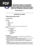 (Aula Prática 1).pdf