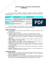 1-Unidad4-Tejido_nervioso.pdf
