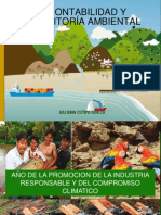 Contabilidad y Auditoría Ambiental PDF