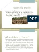 parte 1 Deforestación de arboles.pptx