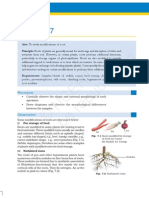 Biology Lab Manual