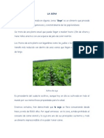 La Soya PDF