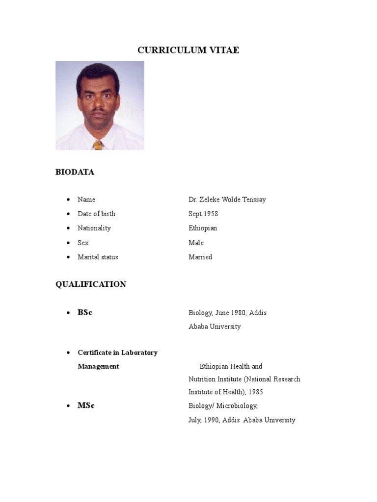 Curriculum vitae examples pdf image