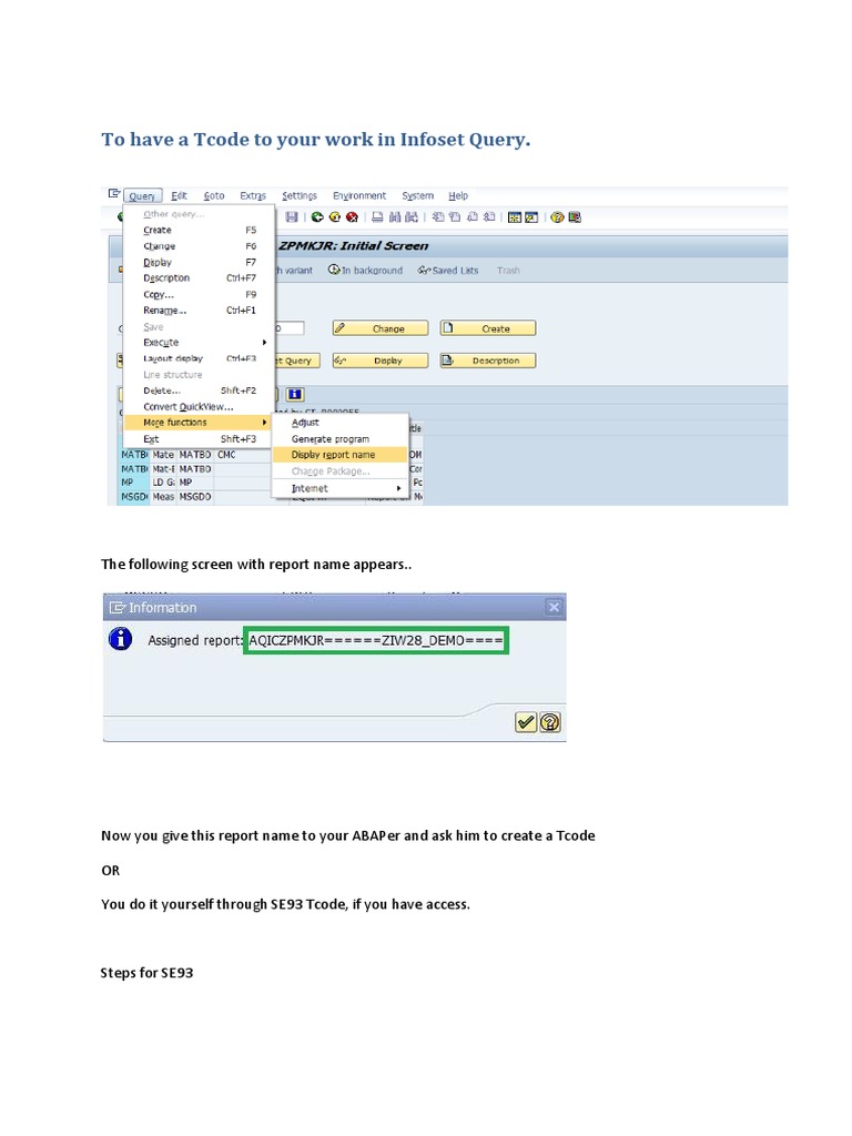 To Have A Tcode To Your Work in Infoset Query | PDF