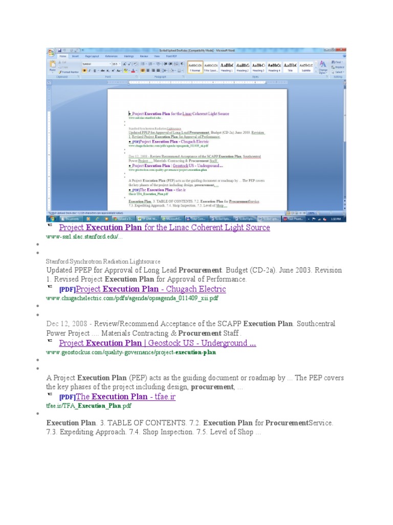 Project Execution Plan Overview | PDF
