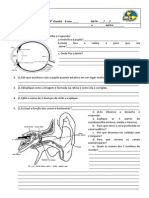 AVALIAÇÃO DE CIÊNCIAS sist visao e audiçaõ.docx