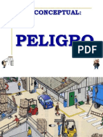 PELIGRO Y RIESGO SEGURIDAD 2014.pptx