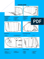 Canalizos PDF