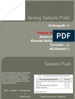 Sekam Padi