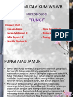 Download PPT Materi Mikrobiologi Fungi by AlinZaa SN243958904 doc pdf
