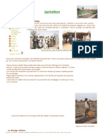 Agriculture à Tiébélé ; ...ge et cultures diverses.pdf