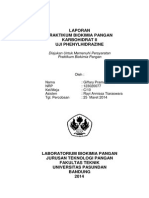 Laporan - Uji Phenylhydrazine
