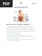 SISTEMA DIGESTIVO.docx
