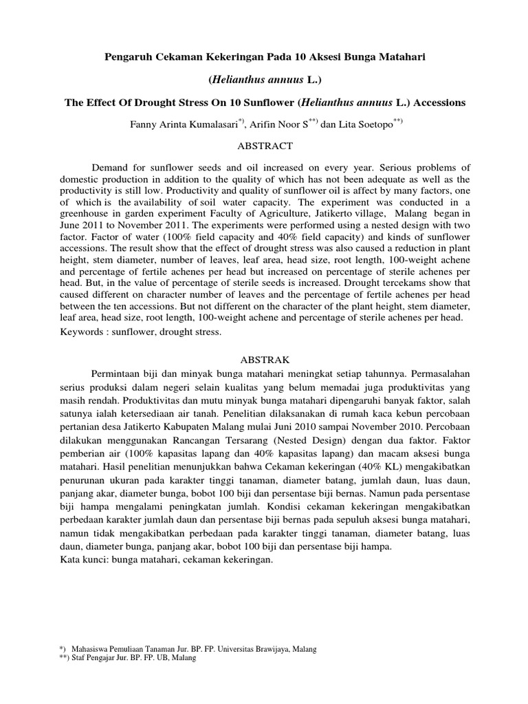 23+ Contoh Report Text Bunga Matahari yang Lagi Ngetrend