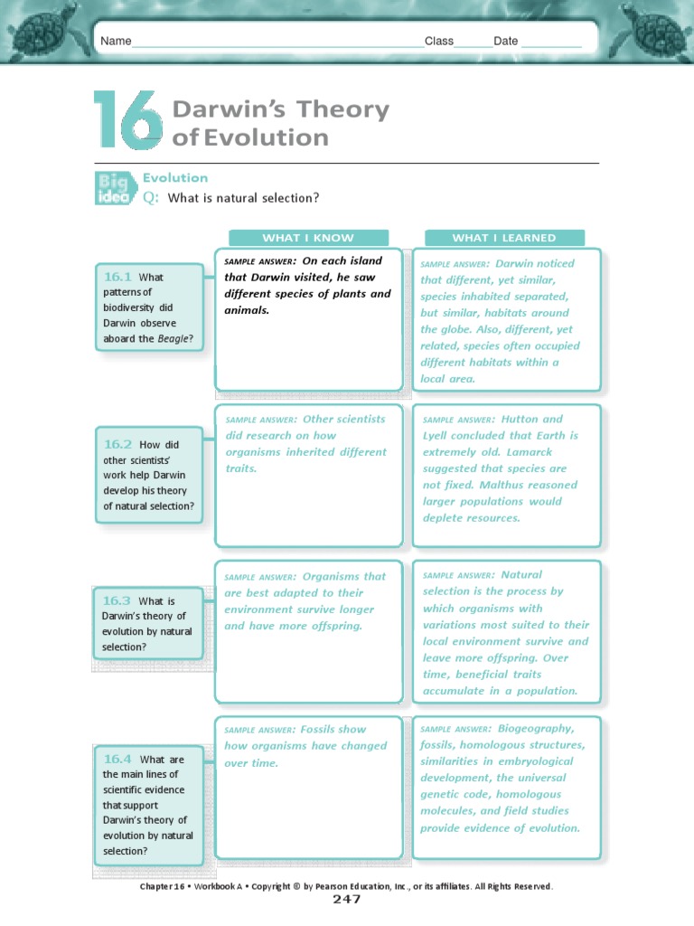 Answer The Charles Darrin Packet Natural Selection Evolution