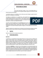 Informe de Episiotomia en Caninos