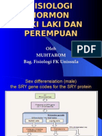 Fisiologi Hormon Laki Dan Perempuan