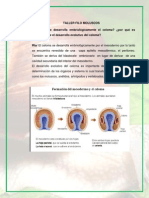 TALLER FILO MOLUSCOS.docx