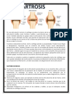 Osteomusculares