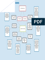 graphic organizer supreme court cases