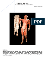 cuerpos del aire (1).pdf