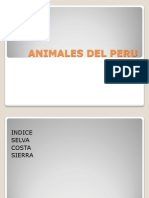 Animales Del Peru