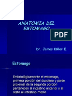 Anato. Estomago.ppt