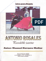 Antonio Rosales - Navarro Mollor PDF