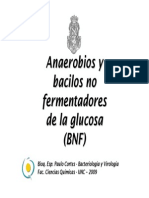 2009 Anaerobios y BNF PDF