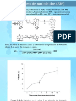 PESCADOS.pdf