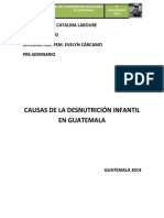 Causas de La Desnutrición Infantil en Guatemala