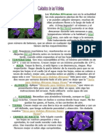 violetas africanas.docx