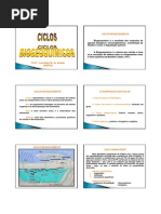 Ciclo biogeoquimicos.pdf