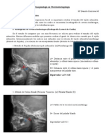 ADENOIDES.pdf