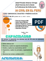 POINT Defensa Civil en El Perú1