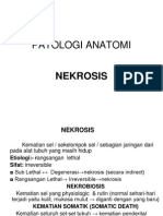 Optimized Anatomi Patologi Nekrosis