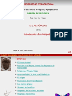 Introd Artropodos PDF