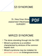 Mirizzi Syndrome