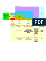 Clasificarea TNM A Cancerului Bronho