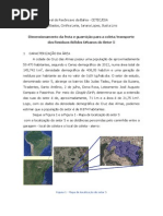 Atividade 2 - dimensionamento da frota IMPRIMIR (1).docx