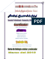 Trabajo colaborativo_equipo de trabajo_S.U.H.A.N.A_SEDE_Chimbote..pdf