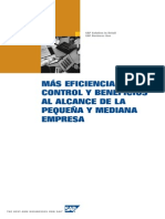 Presentacion Detallada SAP Business One PDF