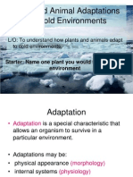 Plant and Animal Adaptations For Cold Environments: L/O: To Understand How Plants and Animals Adapt To Cold Environments