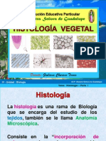 histologiavegetal-130602214302-phpapp01.ppt
