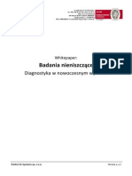 Whitepaper - Badania Nieniszczace - Diagnostyka W Nowoczesnym Wydaniu PDF