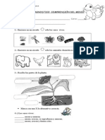 prueba-de-diagnostico-comprension-del-medio.doc