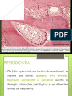 Histologia PERIODONTIA PDF