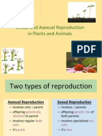 sexual vs asexual reproduction in plants and animals