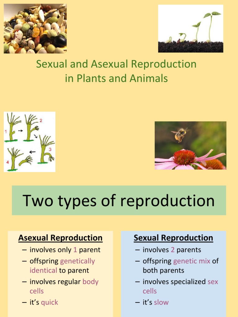 sexual vs asexual reproduction in plants and animals Sexual