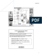 Microtoma PDF